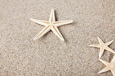 独立冒险游戏《破碎：被遗忘的国王》主机版2022年Q1发售